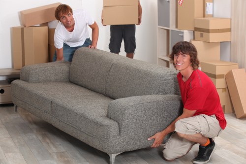 Secure packing and labelled boxes for a Hampton office move